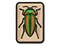Jewel Beetle Insect Bug Multi-Color Embroidered Iron-On or Hook & Loop Patch Applique